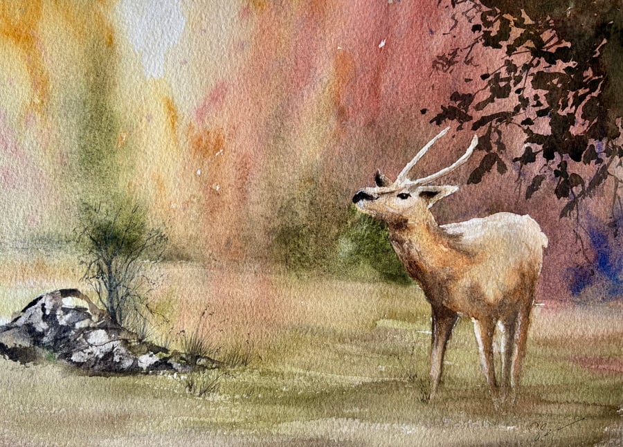 The call of the wild 