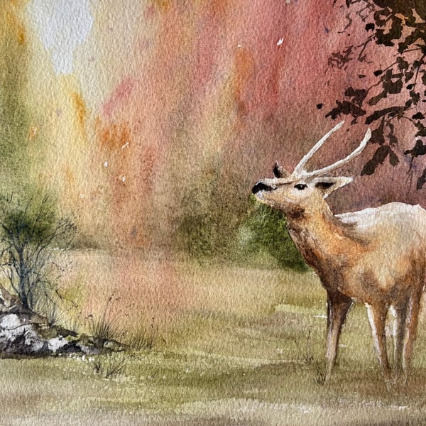 The call of the wild 