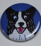 BLACK AND WHITE COLLIE DOG BLUE BADGE - Image 1