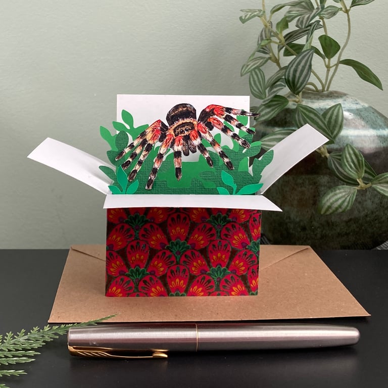 Tarantula Spider card. Personalised or blank. 3D gift card holder. Spider lover