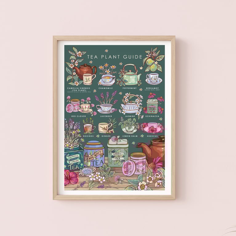 'Tea Plant Guide' Illustration Print A4 Unframed 