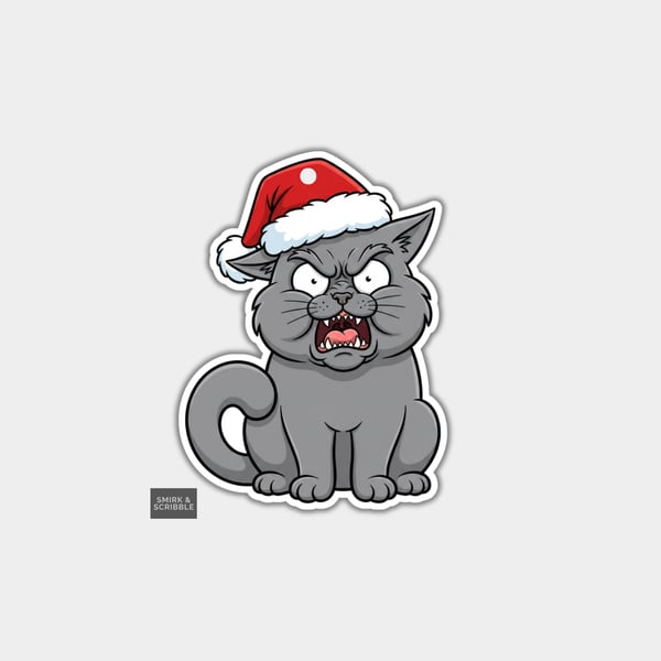 Unique Funny Christmas Gift Tags For Adults, 6pk - Angry Cat In Santa Hat