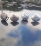 Venus Shell Stud Earrings - Image 6