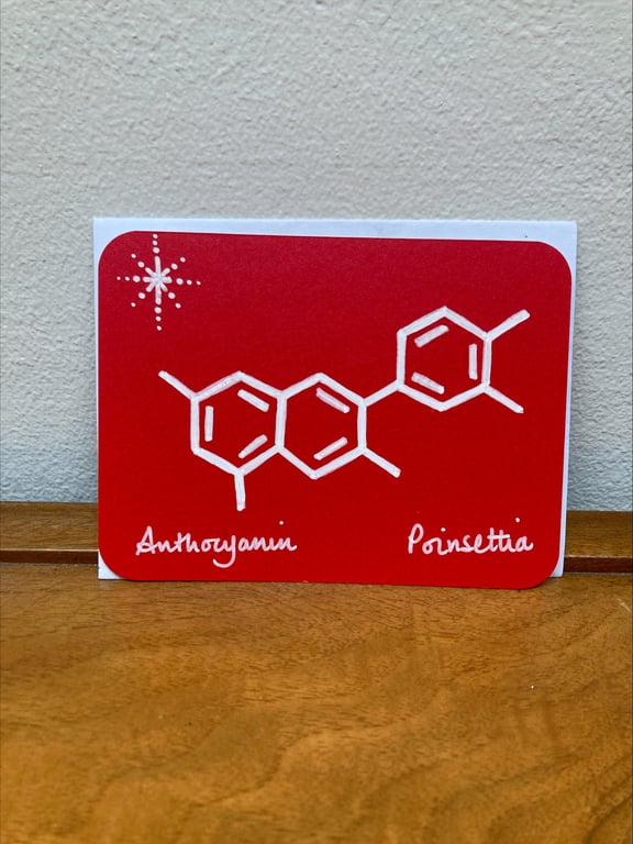 Set of 5 Christmas Notecards & Envelopes: Festive plants