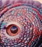 Picture Book  Badge - Iguana Eye - Image 3