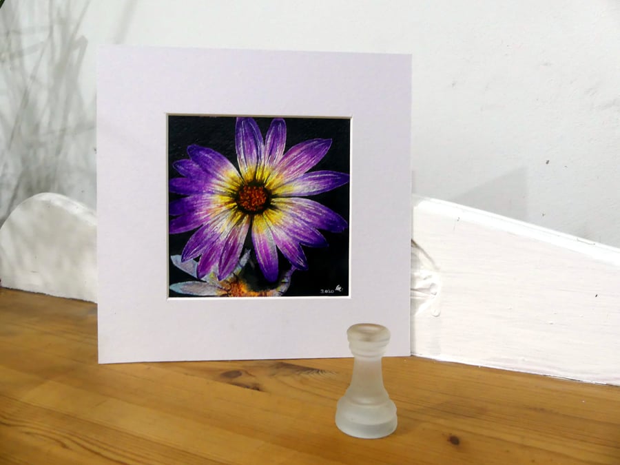 Original Botanical Watercolour Painting of Purple Daisy Flower