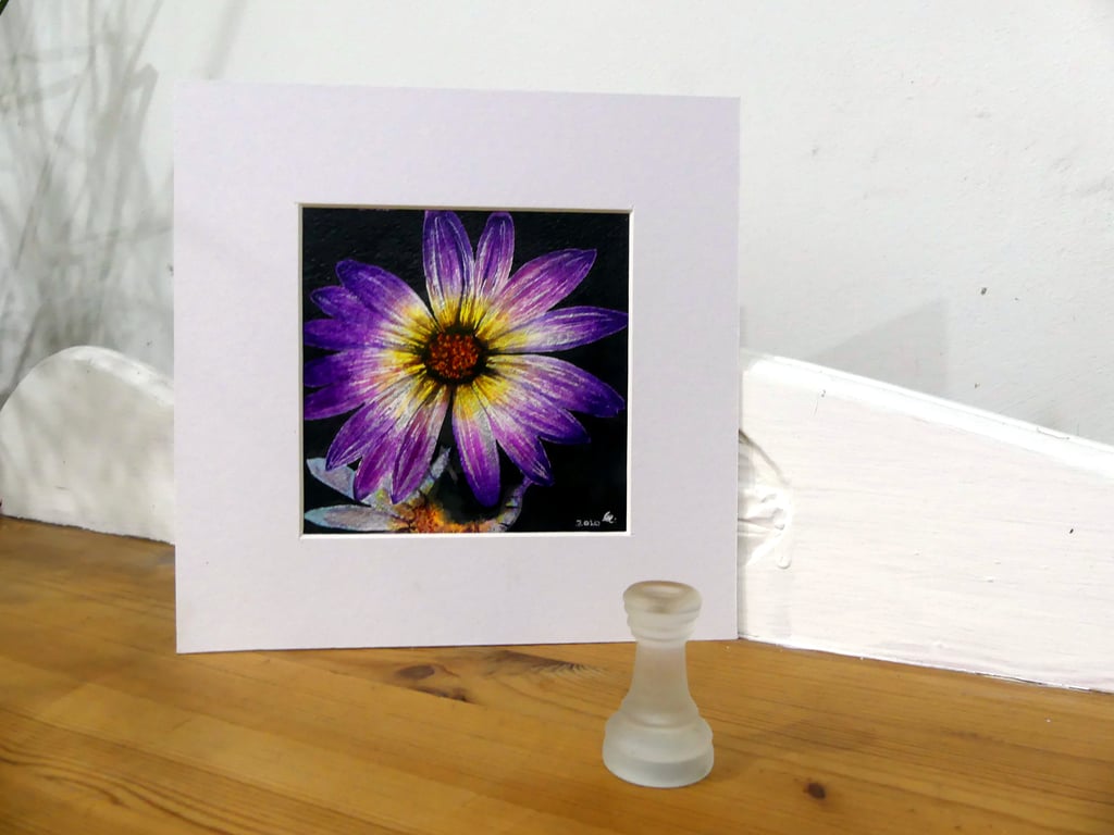 Original Botanical Watercolour Painting of Purple Daisy Flower