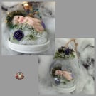 Fairy Liri (in Peacock Colours) in a hanging globe 