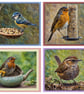 Pack of 4 Garden Birds Greeting Cards A5 - Image 1