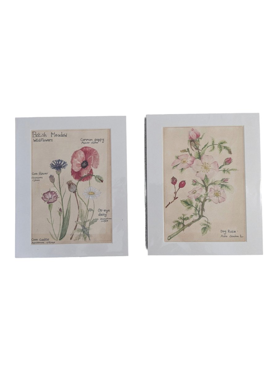 A5 water colour mounted prints
