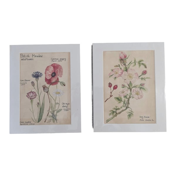 A5 water colour mounted prints