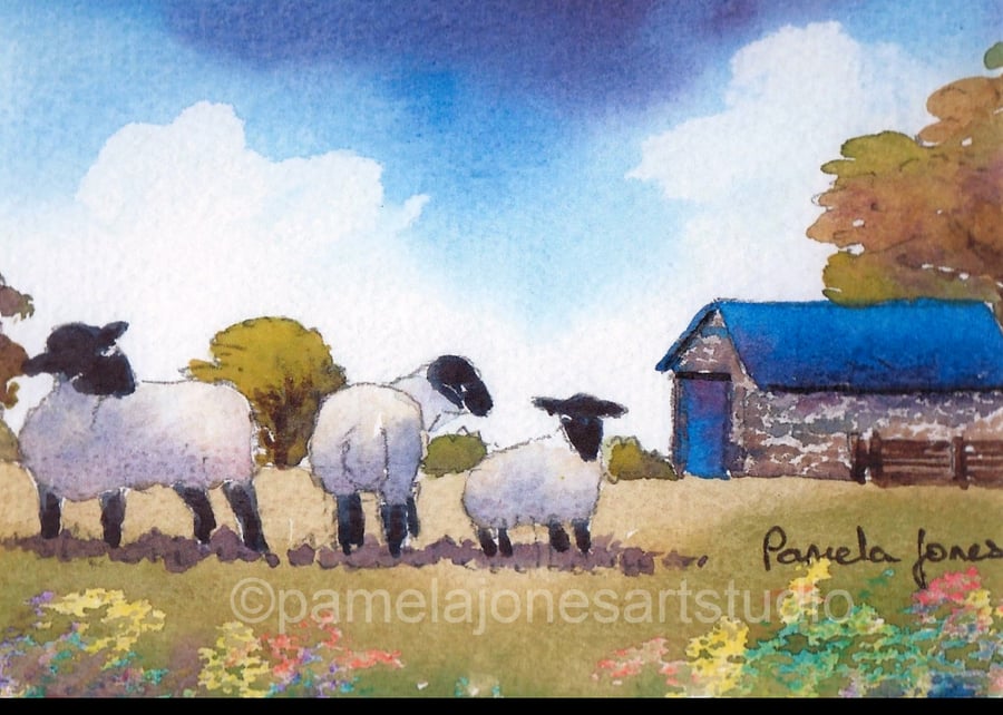 Comical Sheep, Barn, South Wales, Watercolour Print, in 8 x 6 mount