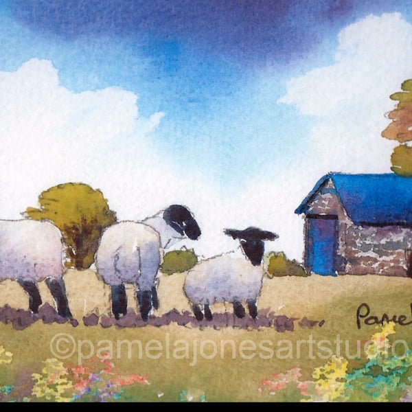 Comical Sheep, Barn, South Wales, Watercolour Print, in 8 x 6 mount