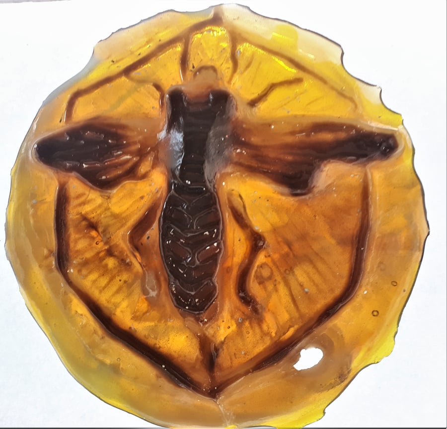Honey Bee. Cast Glass Relief Sculpture 