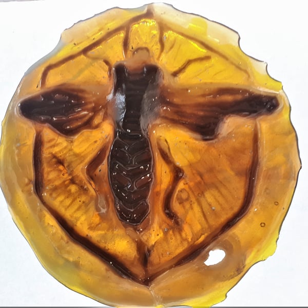 Honey Bee. Cast Glass Relief Sculpture 