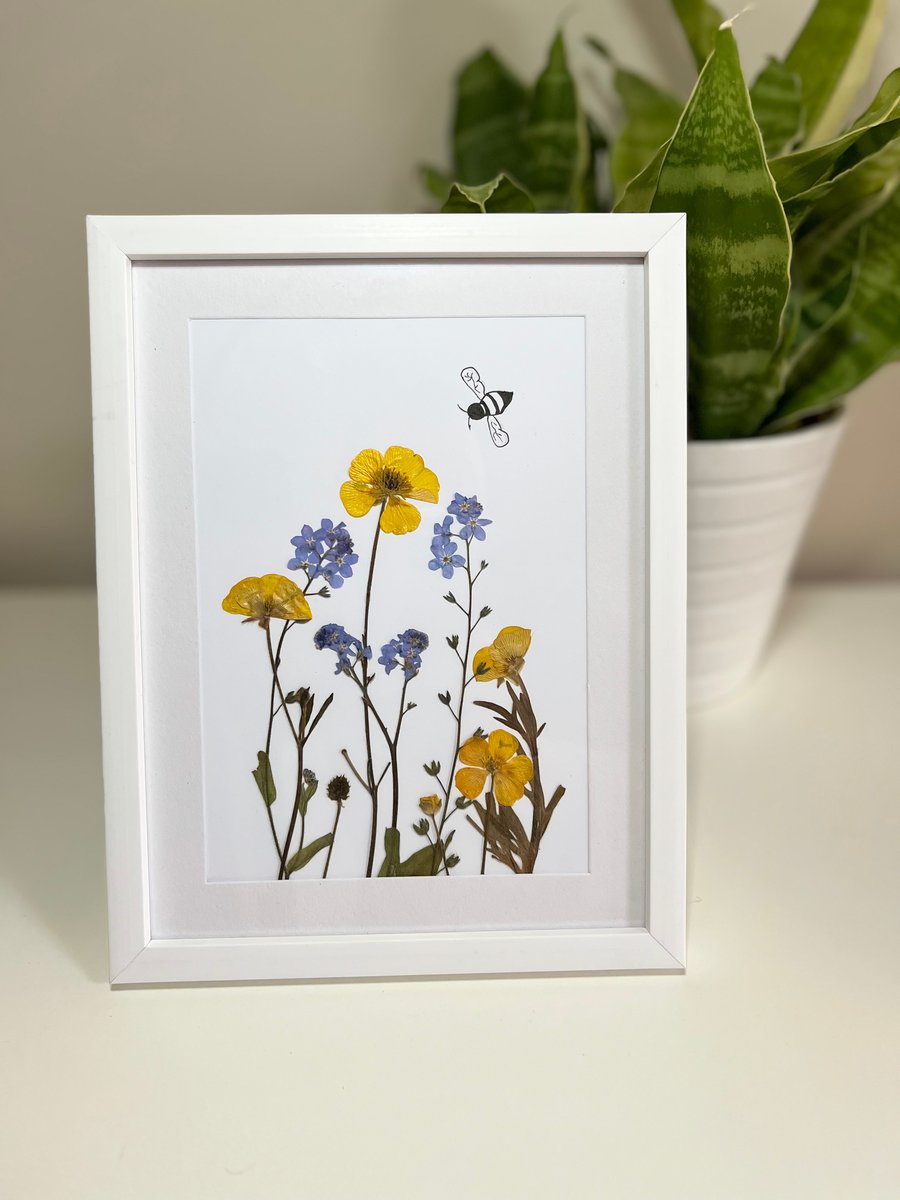 Framed Pressed Flower Art Real Buttercups, Forget-me-nots and Bee Botanical Art