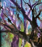"Where the trees listen"    - Image 5
