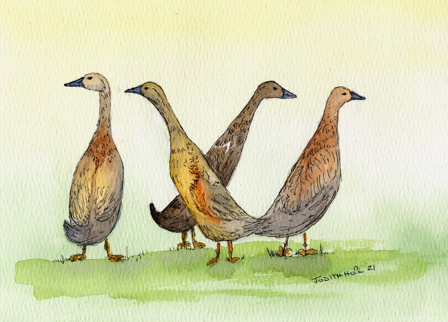 Print or Card of Indian Running Ducks from Original Watercolour