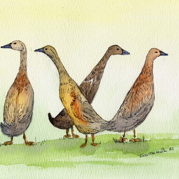 Print or Card of Indian Running Ducks from Original Watercolour