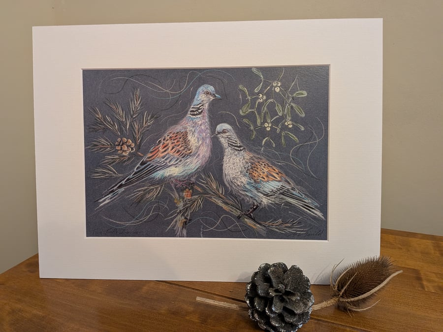 Two Turtle Doves, An A4 signed print of an original drawing