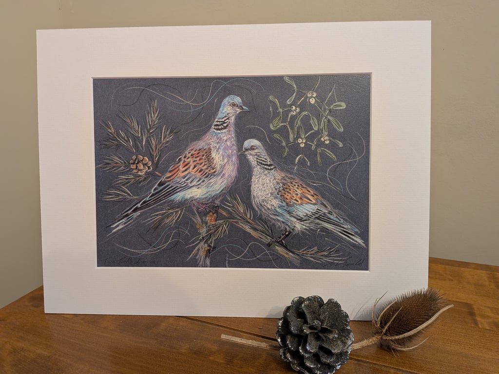 Two Turtle Doves, An A4 signed print of an original drawing