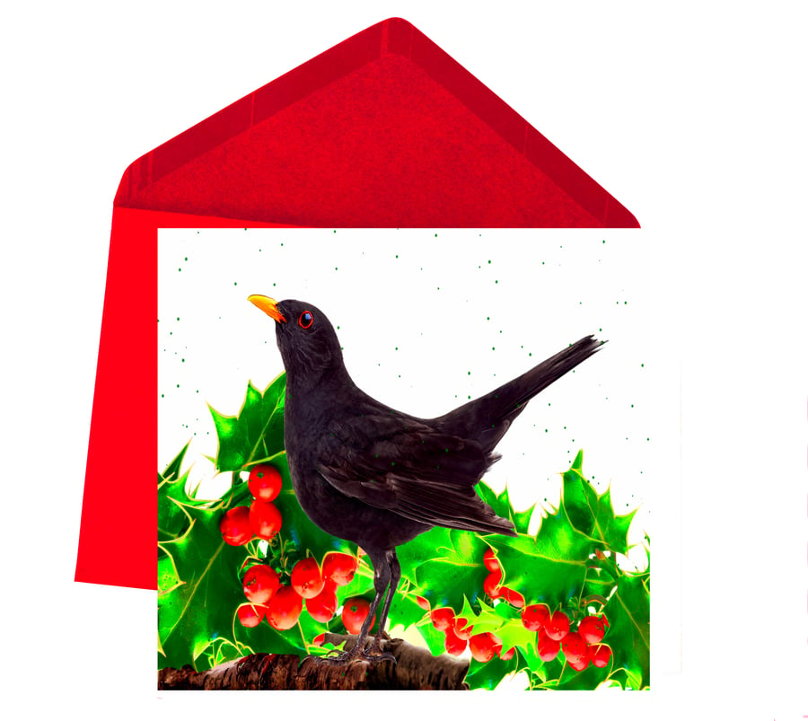 SALE - Christmas Card, Blackbird in Holly and Berries