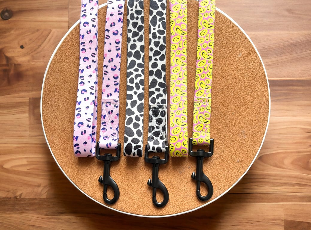 Patterned Webbing Dog Lead. Hand-made in Devon.