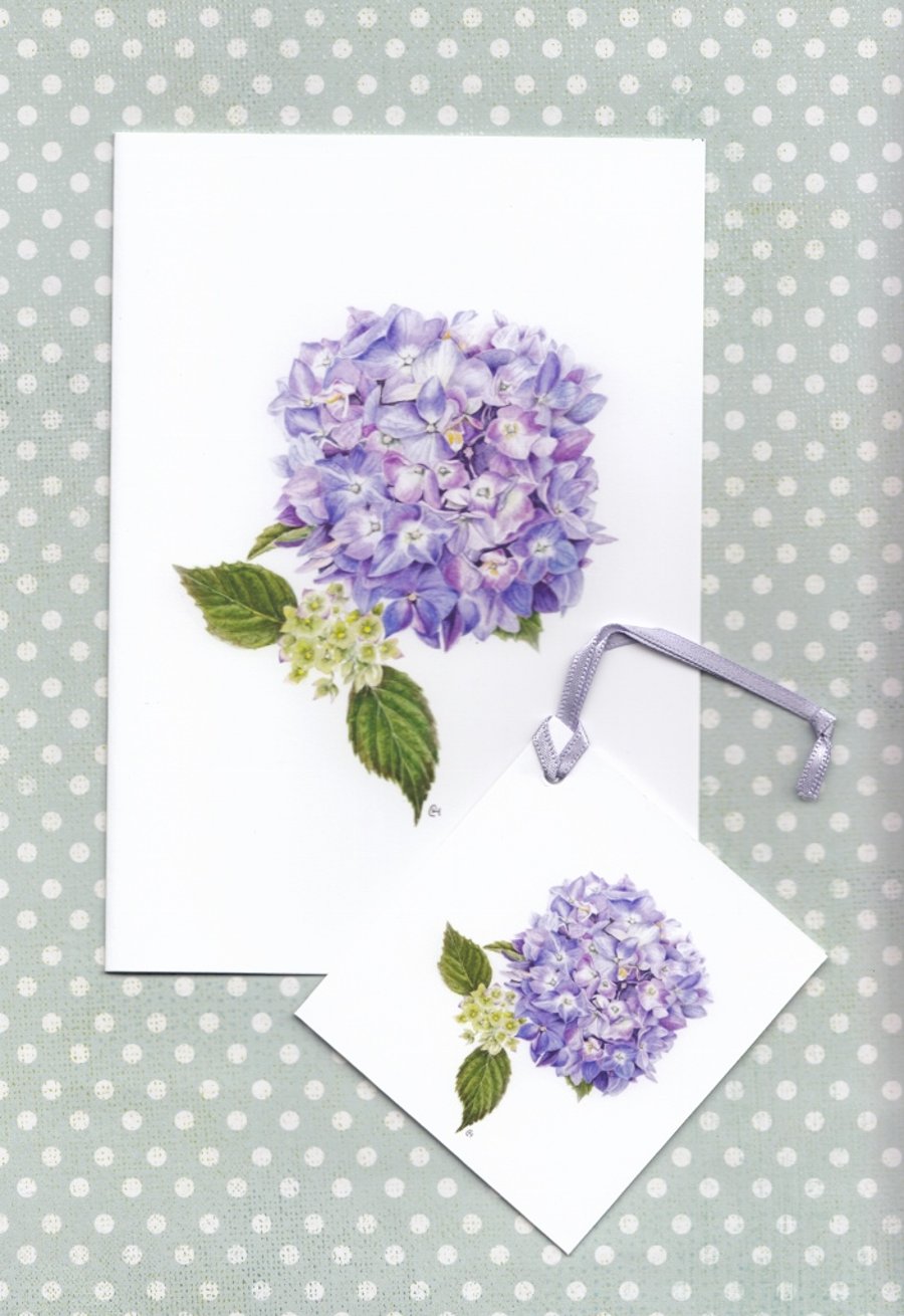 Blue Hydrangea Greetings Card and Gift Tag