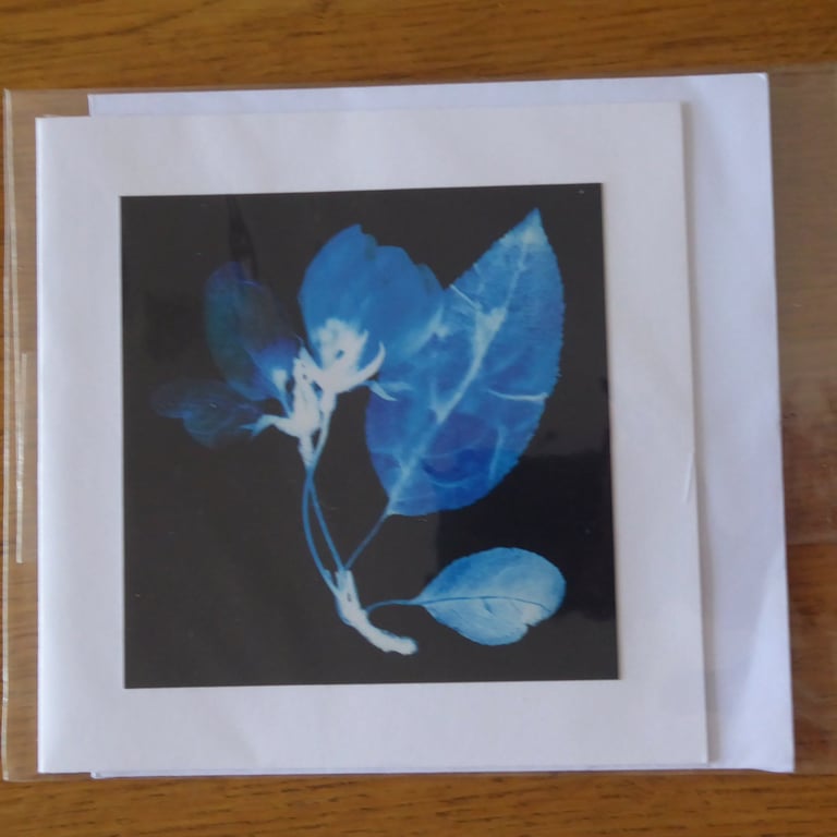 Blossom Print from Original Photogram - White Blank Greeting Card with Envelope