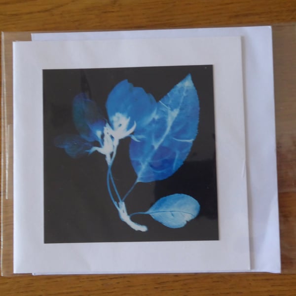 Blossom Print from Original Photogram - White Blank Greeting Card with Envelope