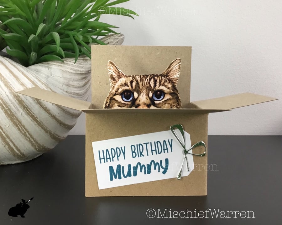 Grey Tabby Cat 3D Box Card - personalised for any occasion. Gift card holder.
