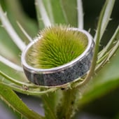 Lakeland Rings