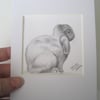 Rabbit Pencil Drawing