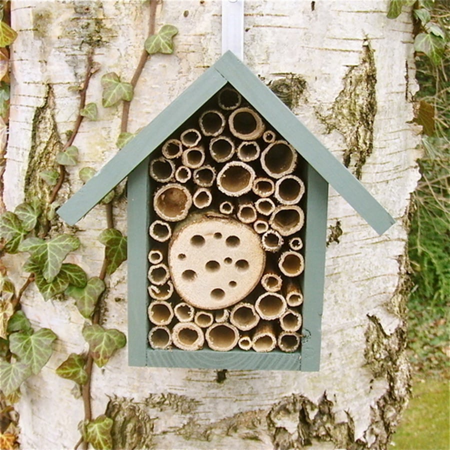 Small Bee Hotel