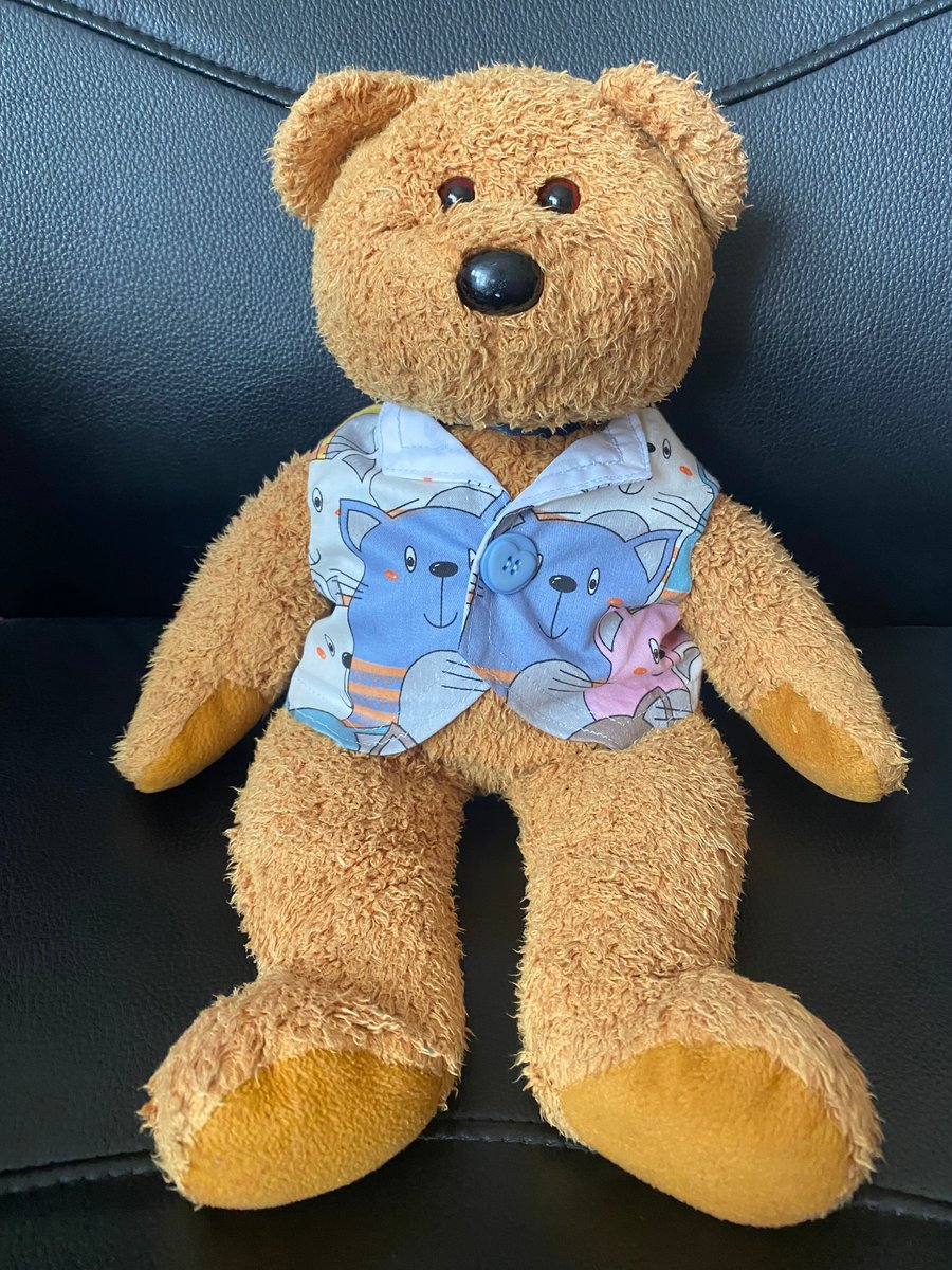 Teddy Bear Cat Waistcoat
