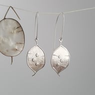 Silver Honesty Seed Pod Handmade Earrings