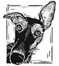 Whippet - Linocut Print - Image 1