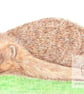 Hedgehog - Blank Card - Image 2