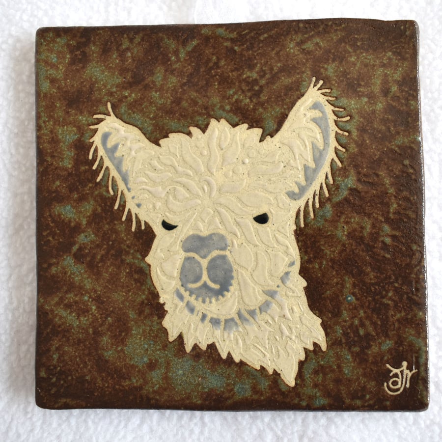 WP40 Wall plaque tile alpaca picture (Free UK postage)