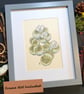 Lithops plant drawing, small stone plant artwork, botanical wall art - Image 5