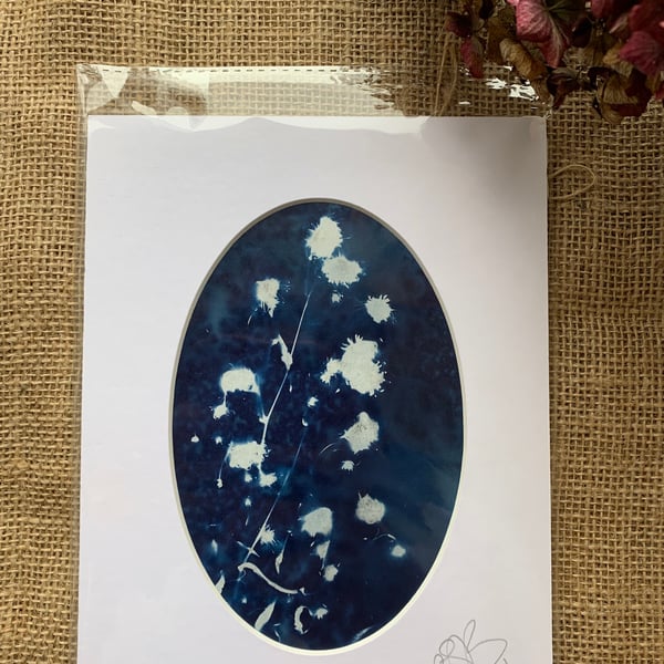 Wet Cyanotype Flowers Mount