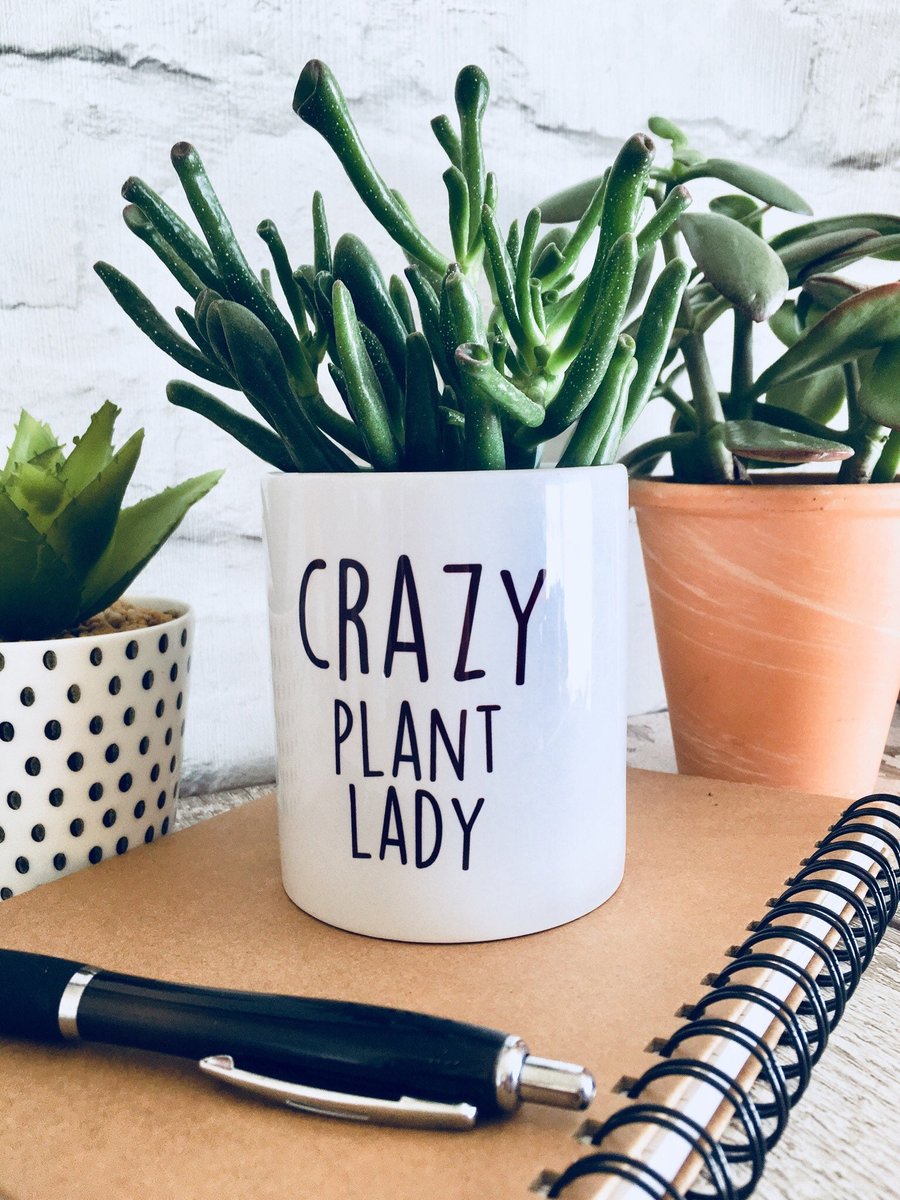 Funny Plant pot, Crazy plant lady, cactus pot, christmas gift, gift for women