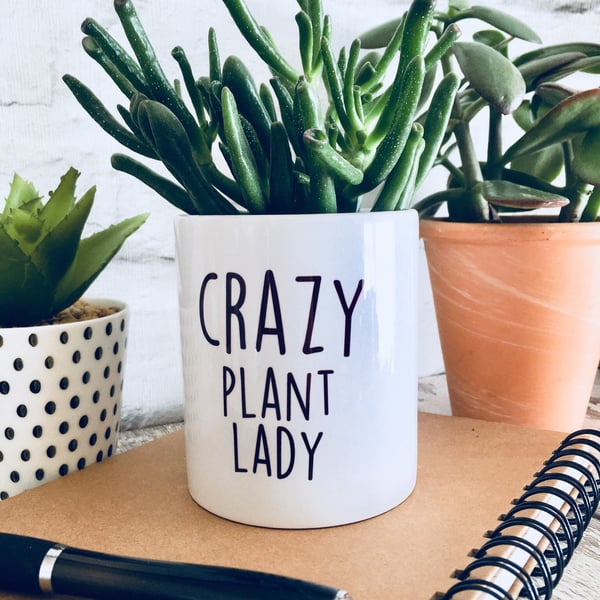 Funny Plant pot, Crazy plant lady, cactus pot, christmas gift, gift for women