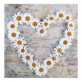 Daisychains Designs