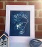 Seed Pods captured in Cyanotype, Gift for gardner, Original wall art. - Image 4