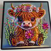 Sallyssparklegift