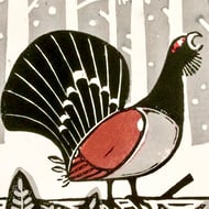 Cock of the Woods (limited edition Lino print)