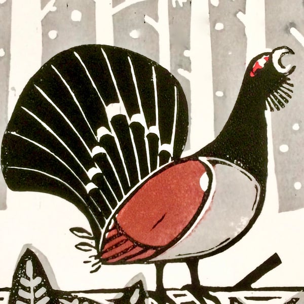 Cock of the Woods (limited edition Lino print)