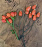 Ceramic Rosehips Flowers, Wired for Arranging, Two stems (four berries) in Red  - Image 3