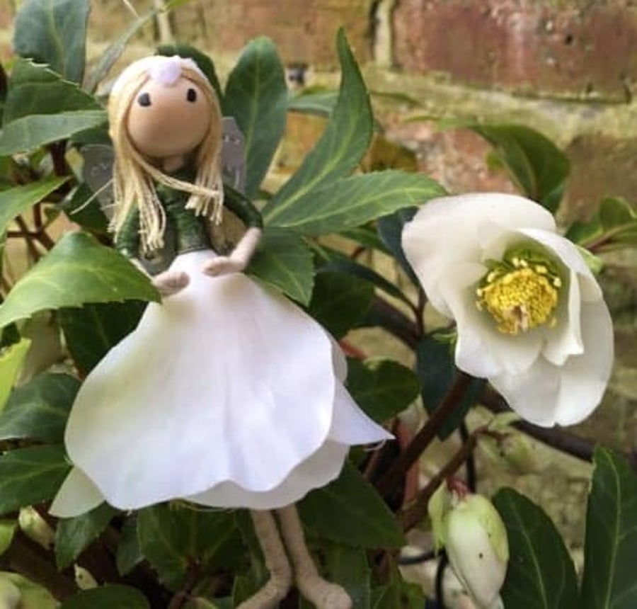 Christmas Rose Fairy